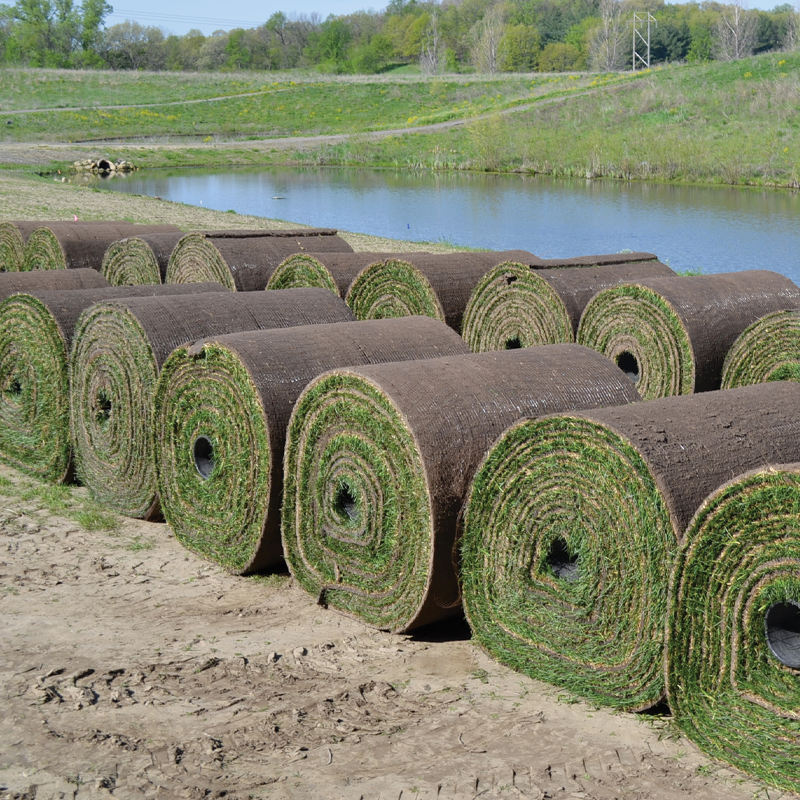 Sod Installation Service