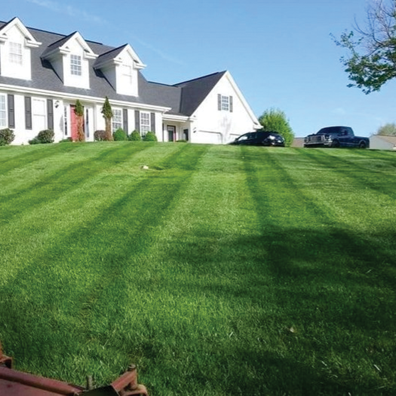 Lawn Maintenance Service
